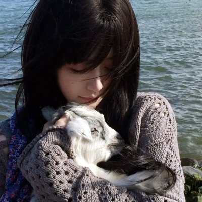 极品邻居又作妖